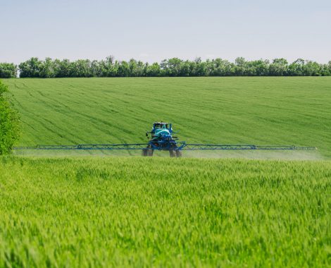 Agricultural sprayers, spray chemicals on young wheat.